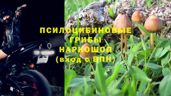 тгк Горно-Алтайск