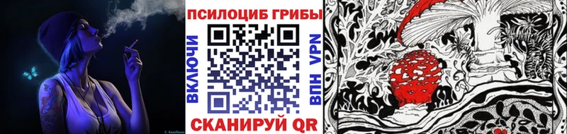 Псилоцибиновые грибы мицелий  ссылка на мегу ссылки  Свирск 