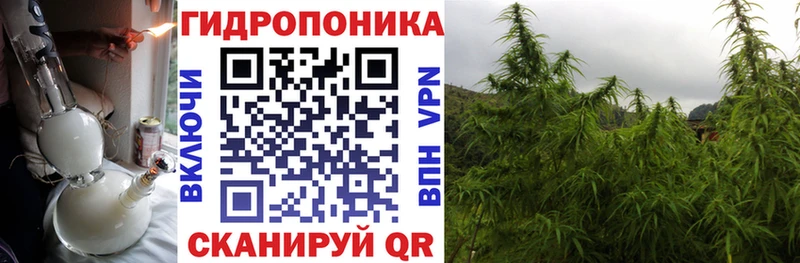 Канабис AK-47 darknet как зайти мега зеркало Свирск закладка
